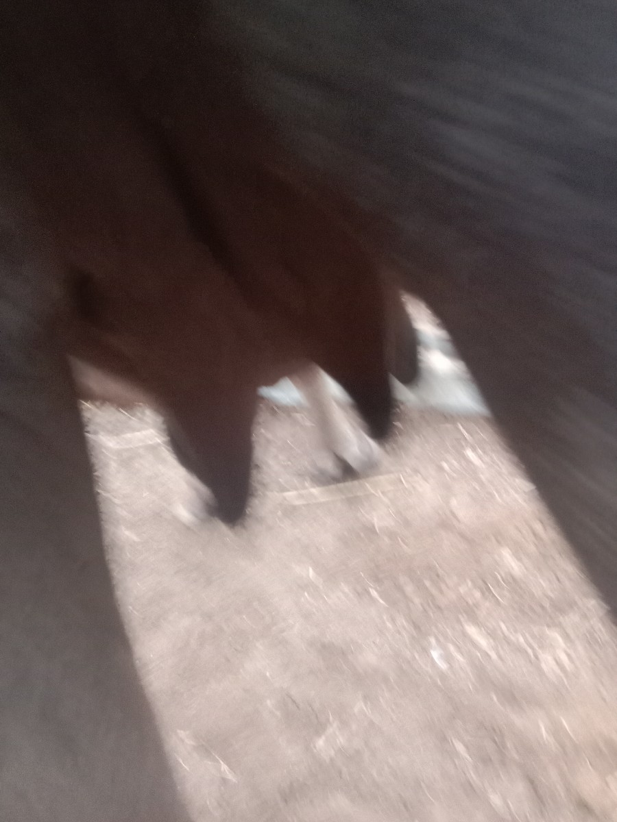 Post Image 3