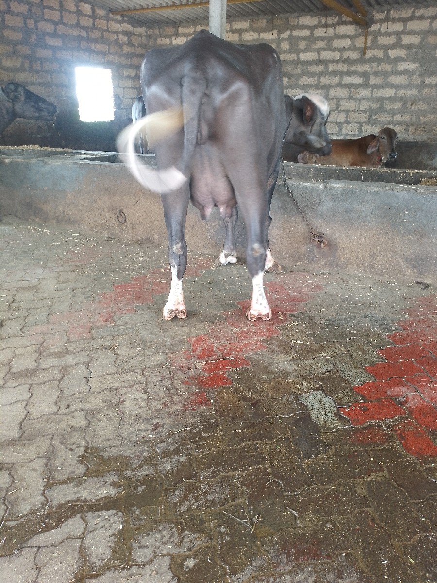 Post Image 4