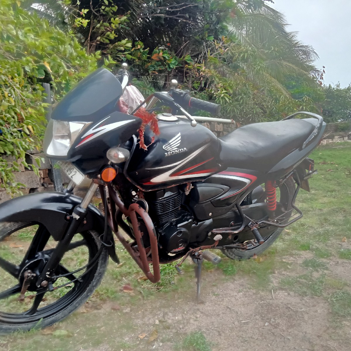 Post Image 2