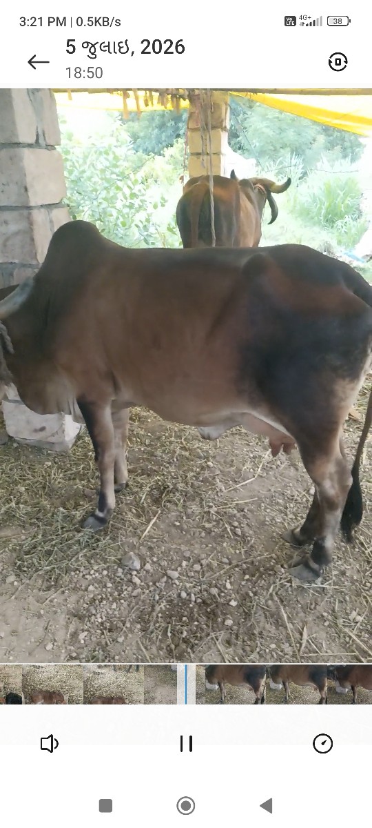 Post Image 2