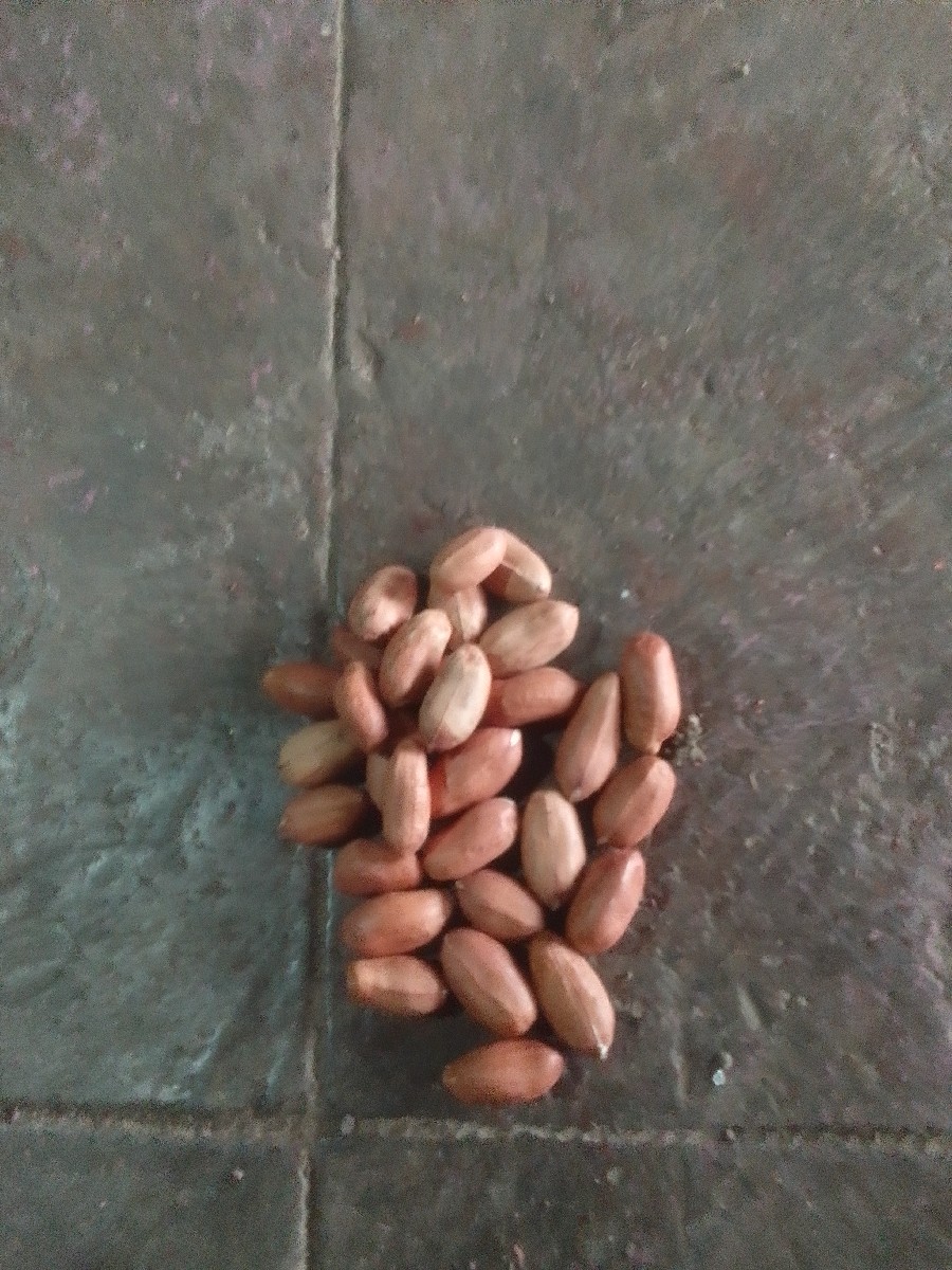 Post Image 3