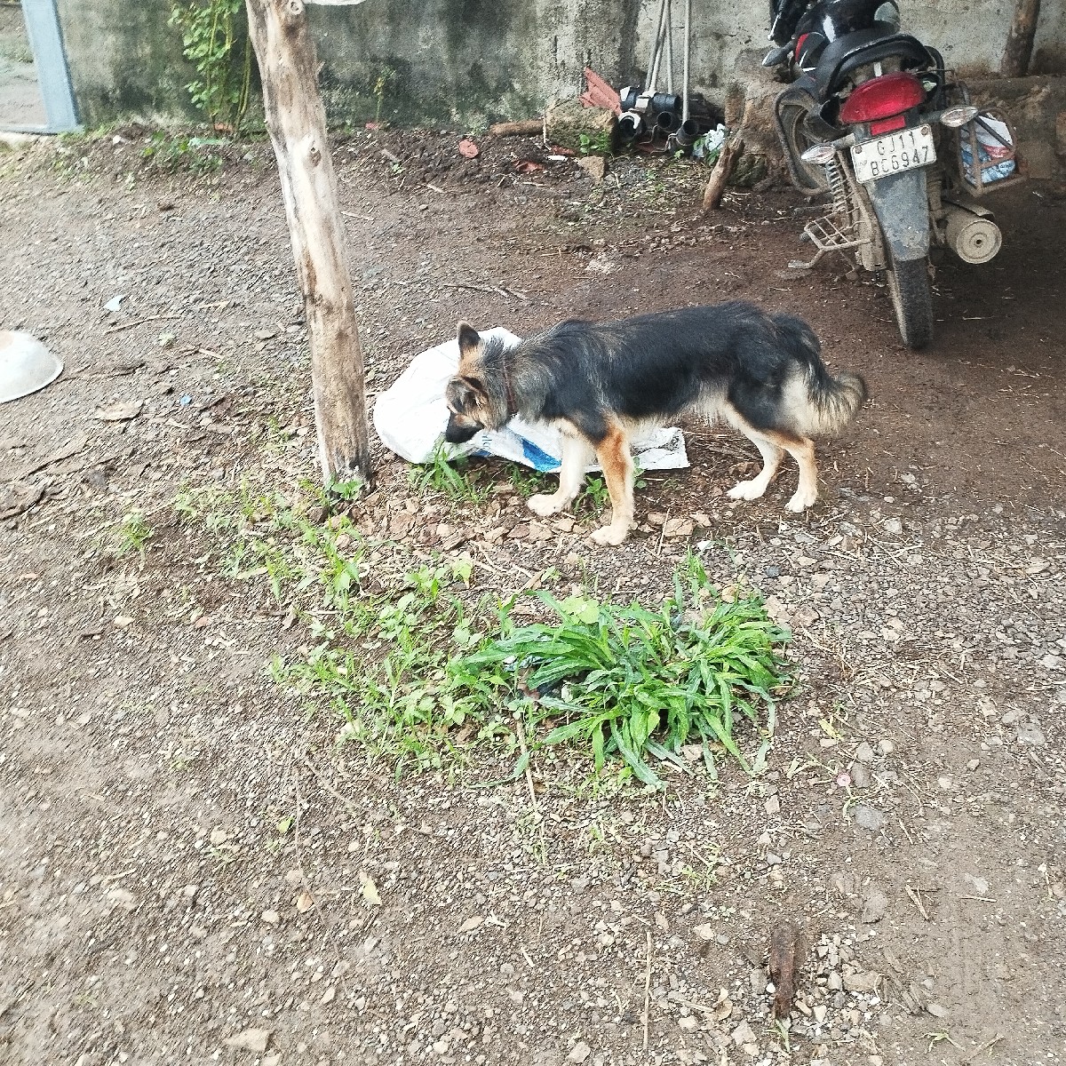 Post Image 3