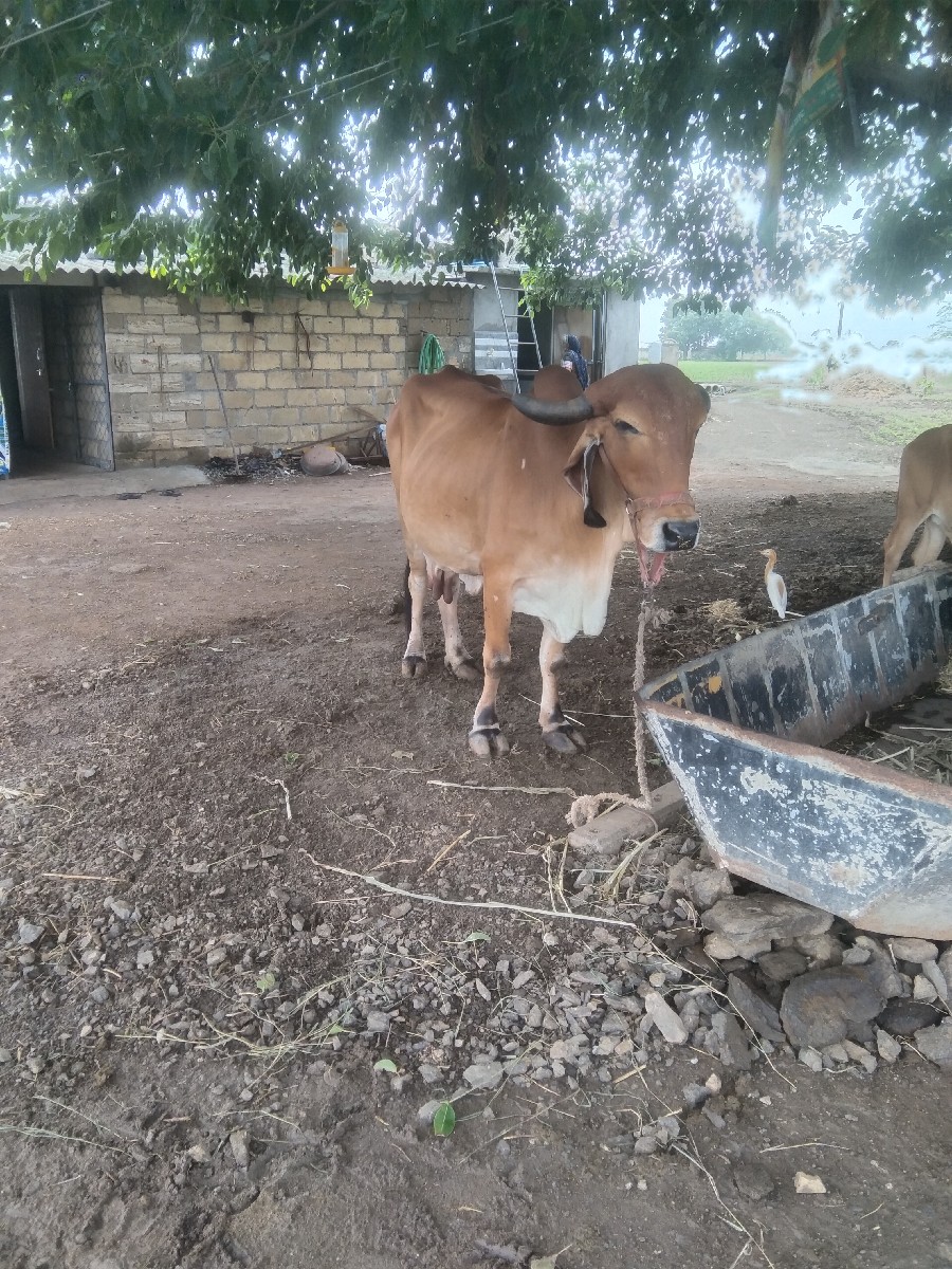 Post Image 2