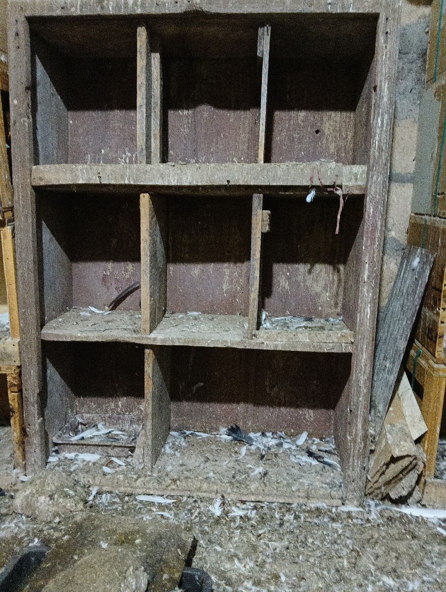 Post Image 2