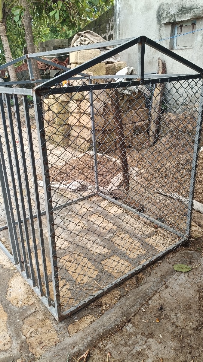 Post Image 3