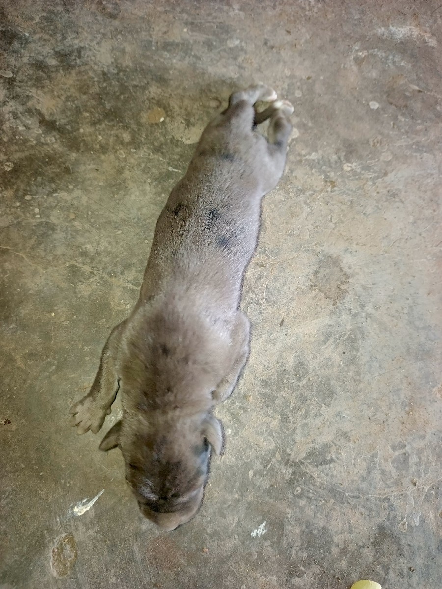 Post Image 3