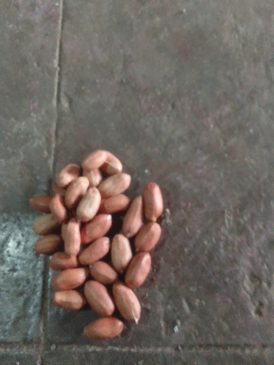 Post Image 2