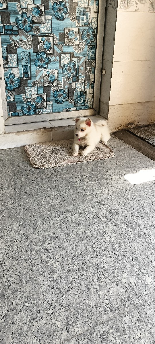 Post Image 1