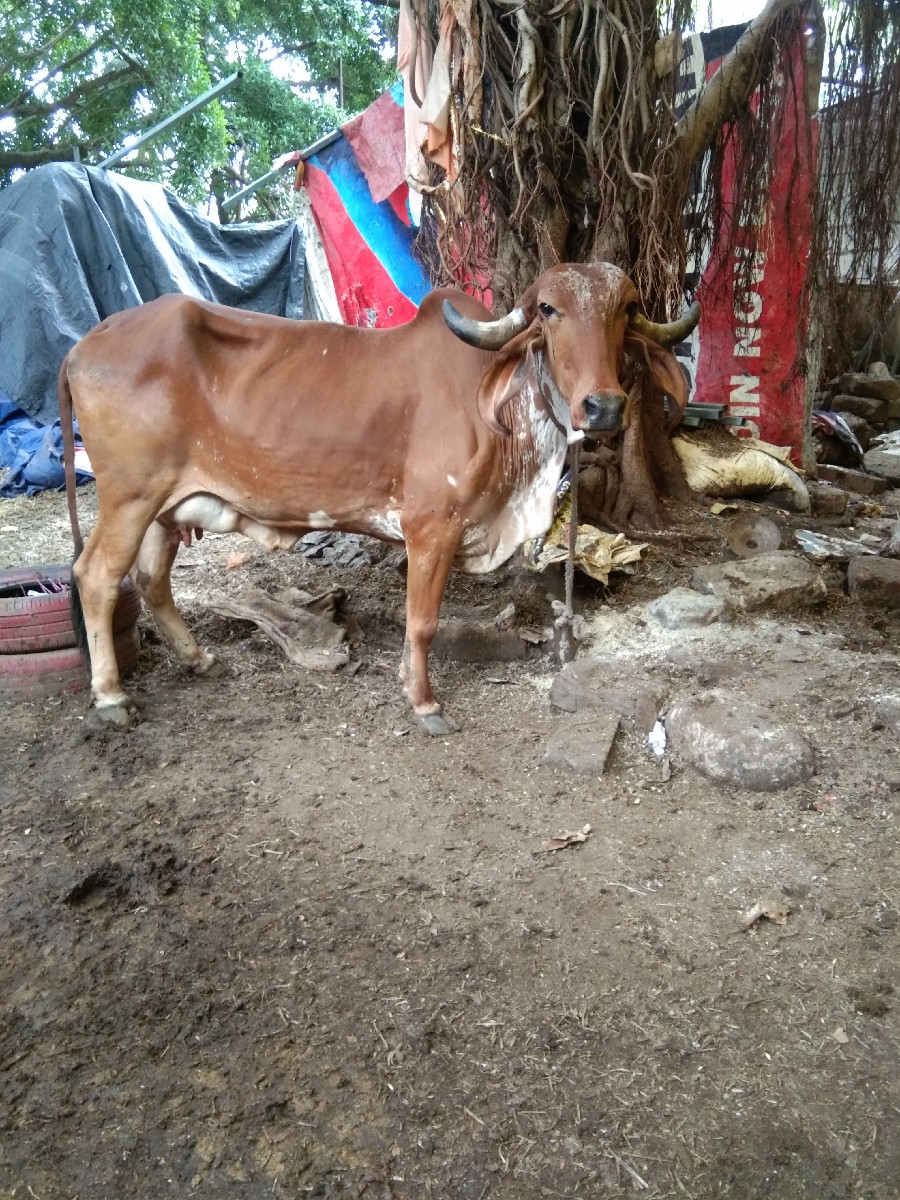 Post Image 3