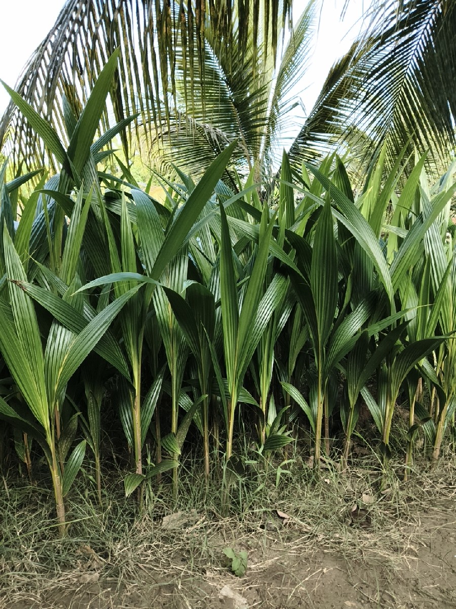 Post Image 3