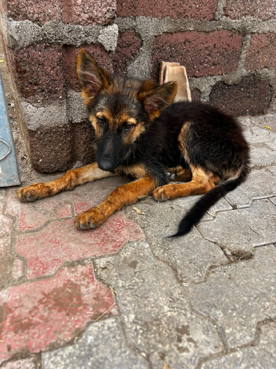 Post Image 1