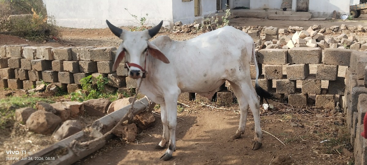 Post Image 2