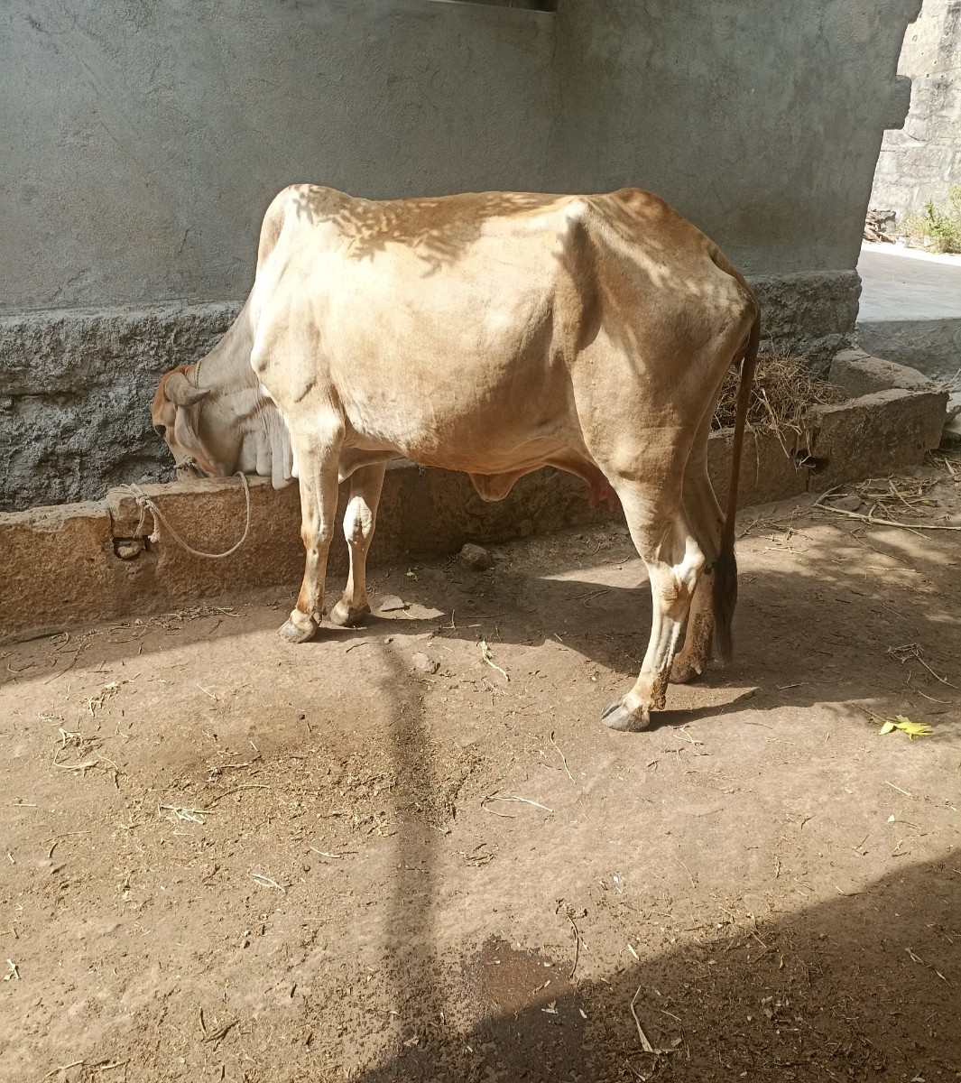 Post Image 4
