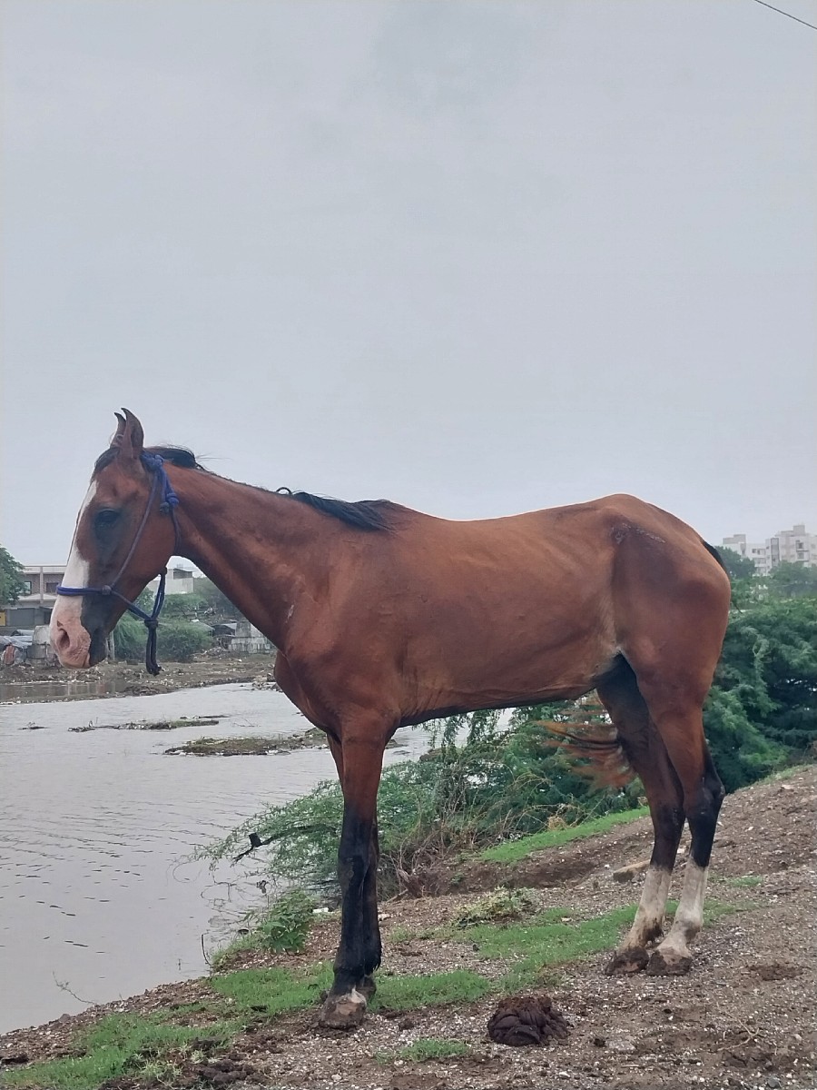 Post Image 2
