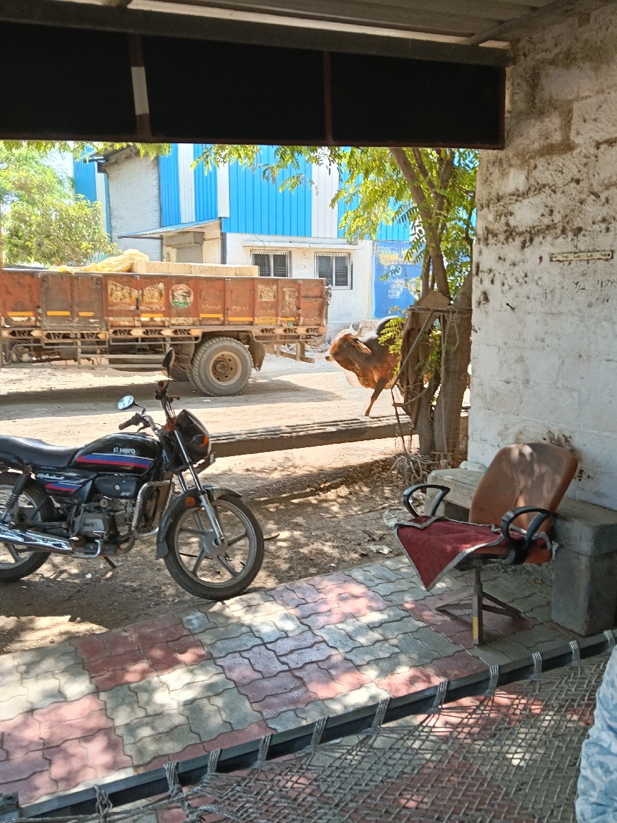Post Image 2