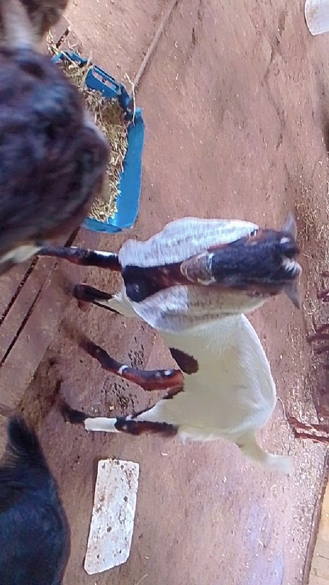 Post Image 2