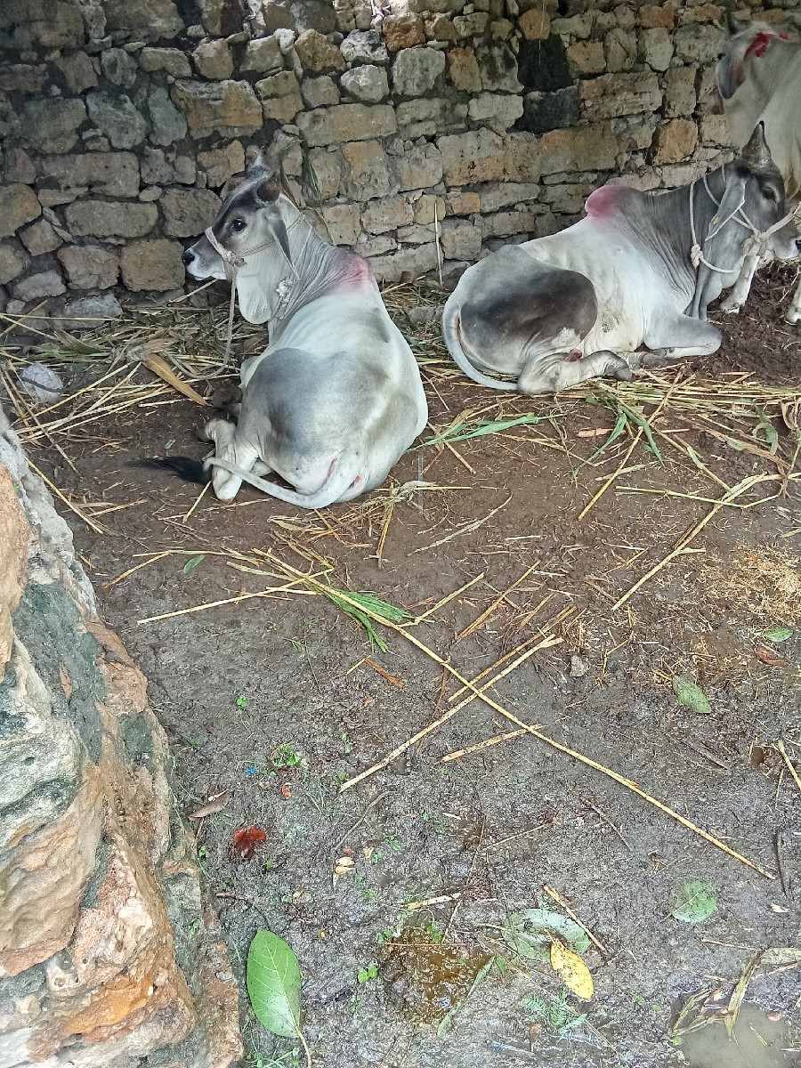 Post Image 6
