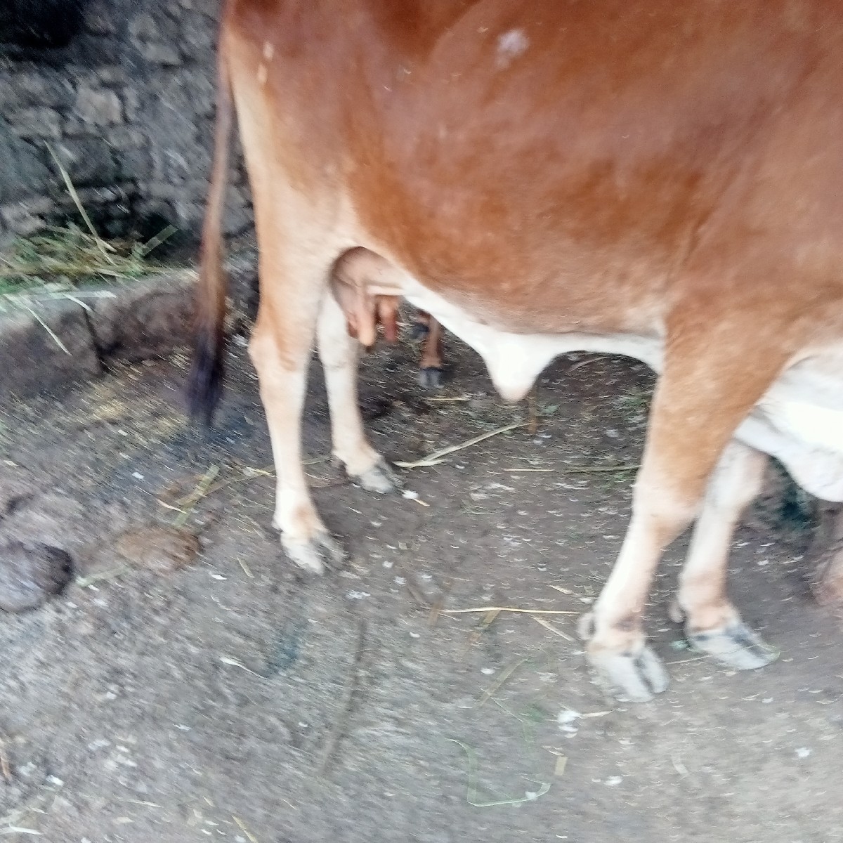 Post Image 3