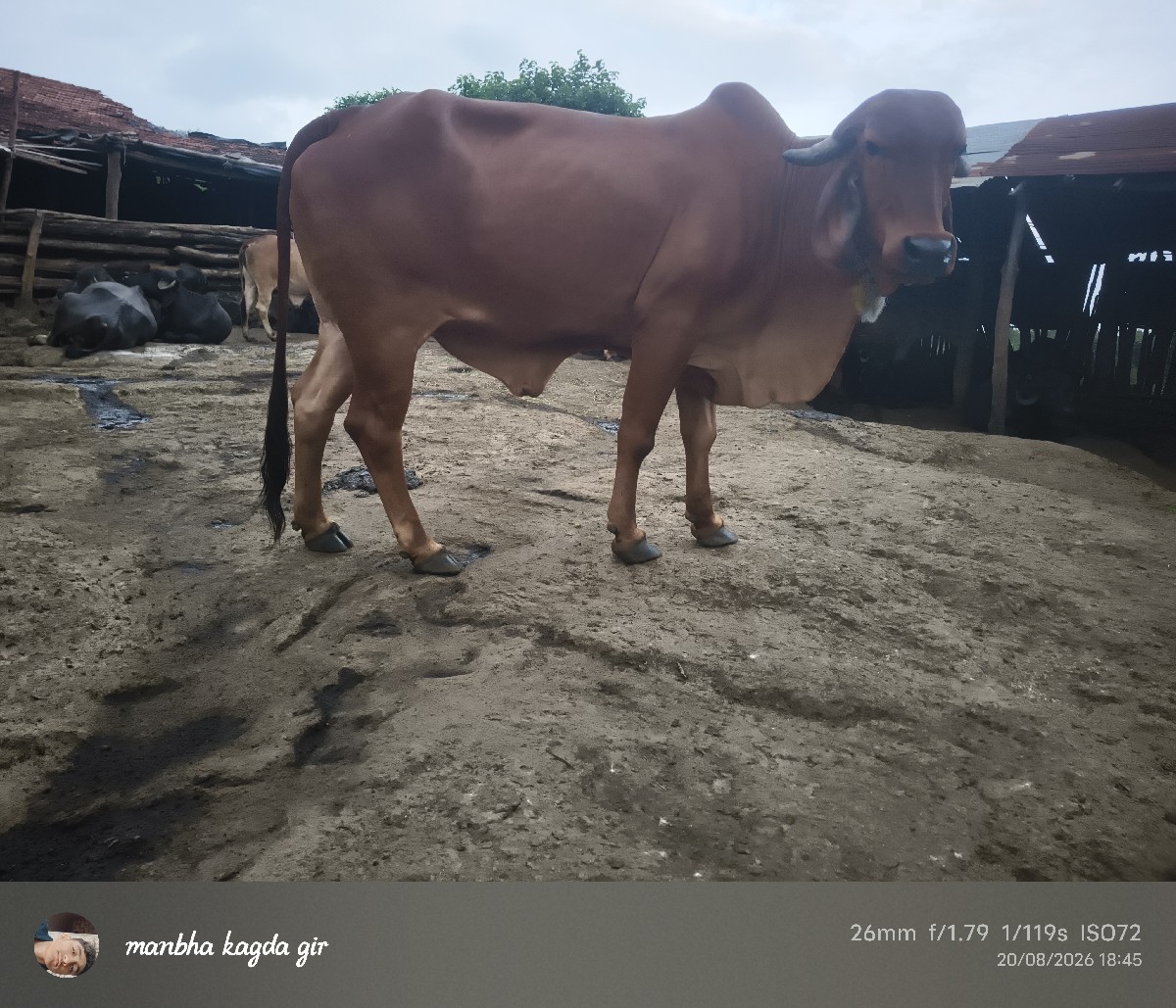 Post Image 3