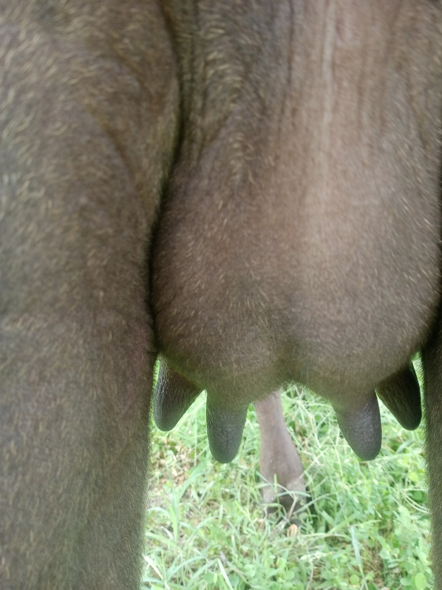 Post Image 2