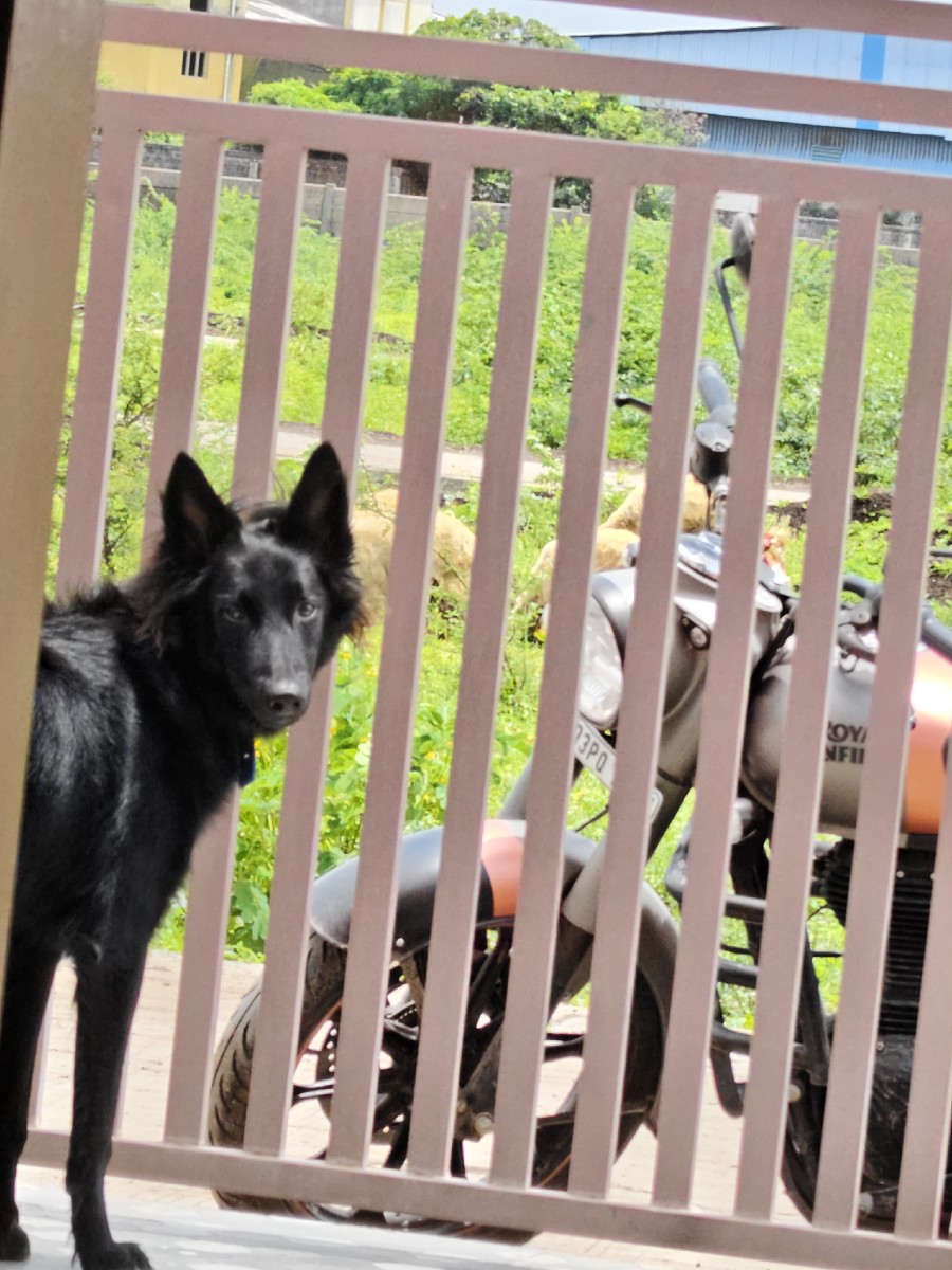 Post Image 3