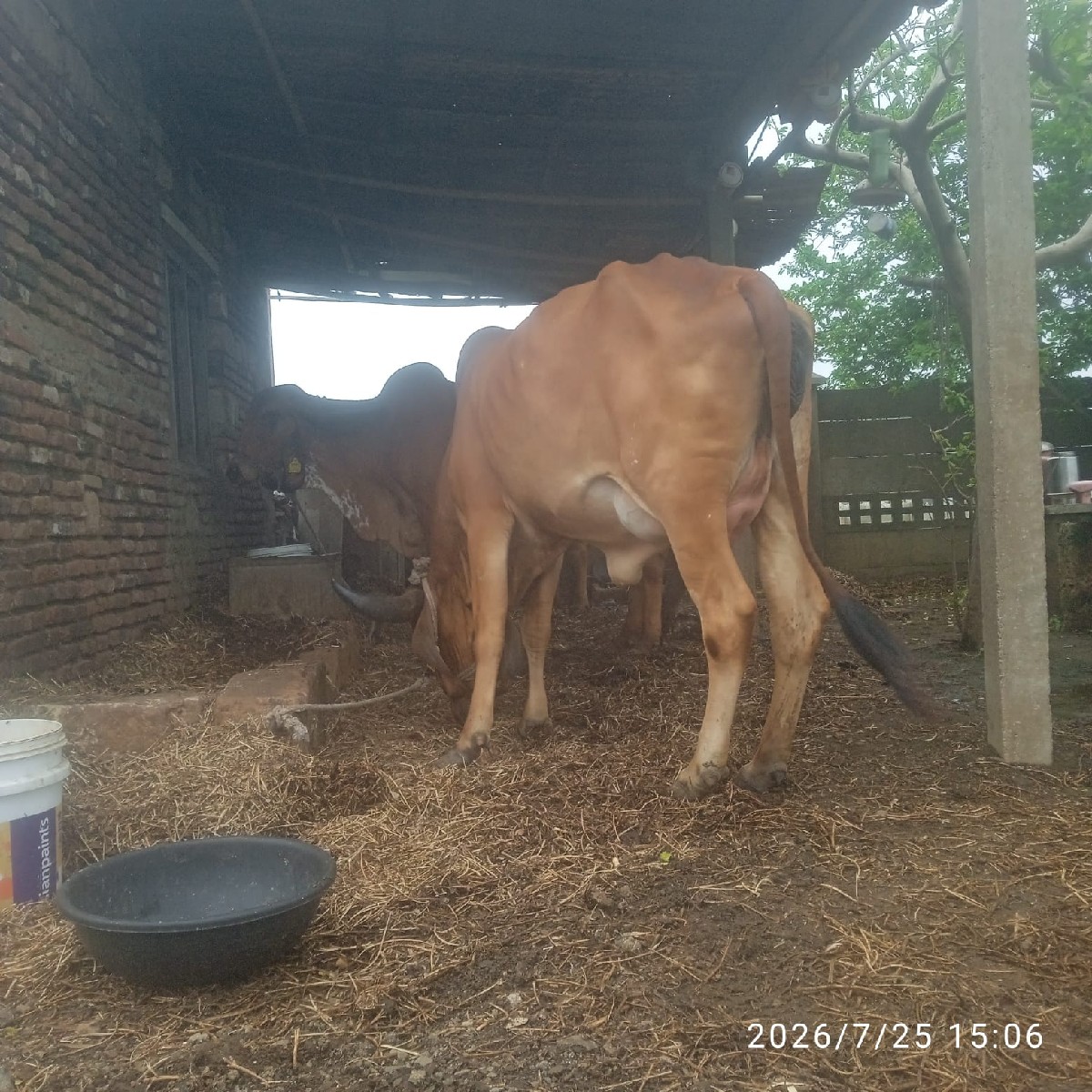 Post Image 2