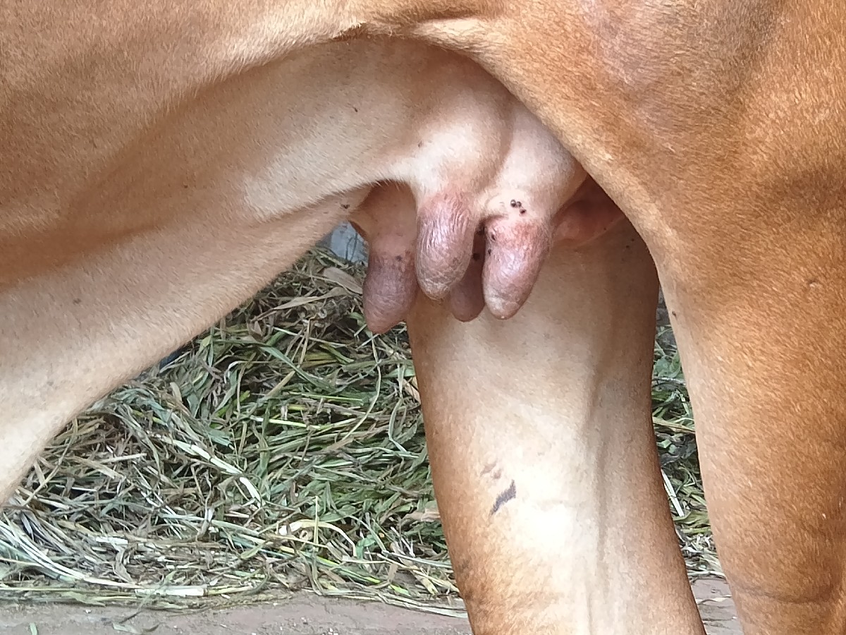 Post Image 2