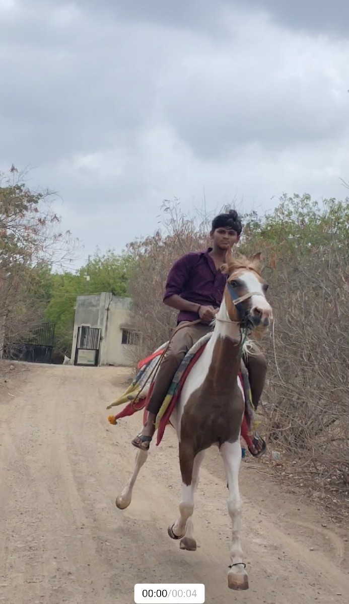 Post Image 2