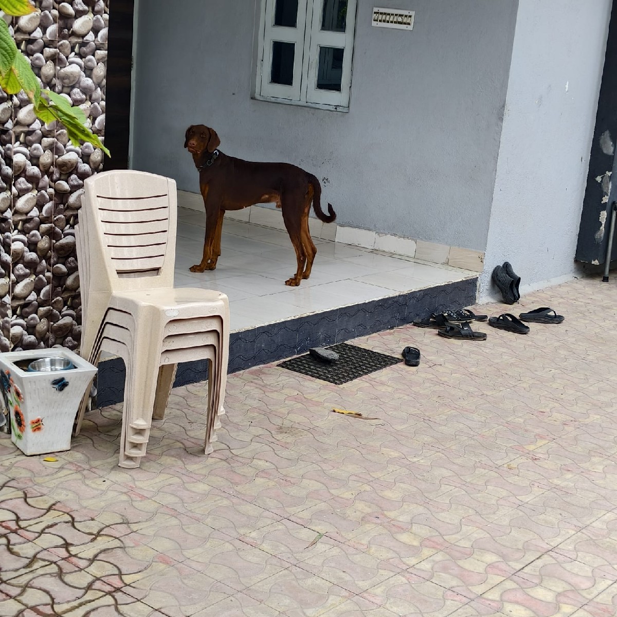 Post Image 2