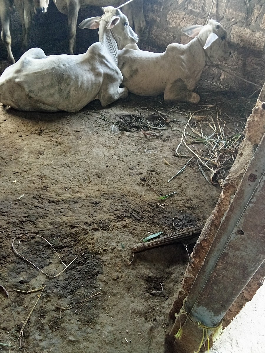 Post Image 4