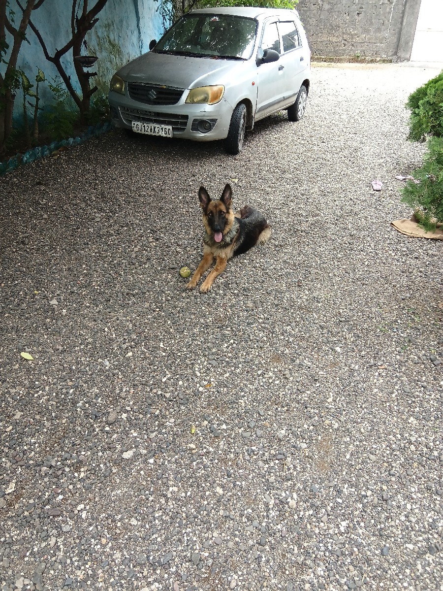 Post Image 1
