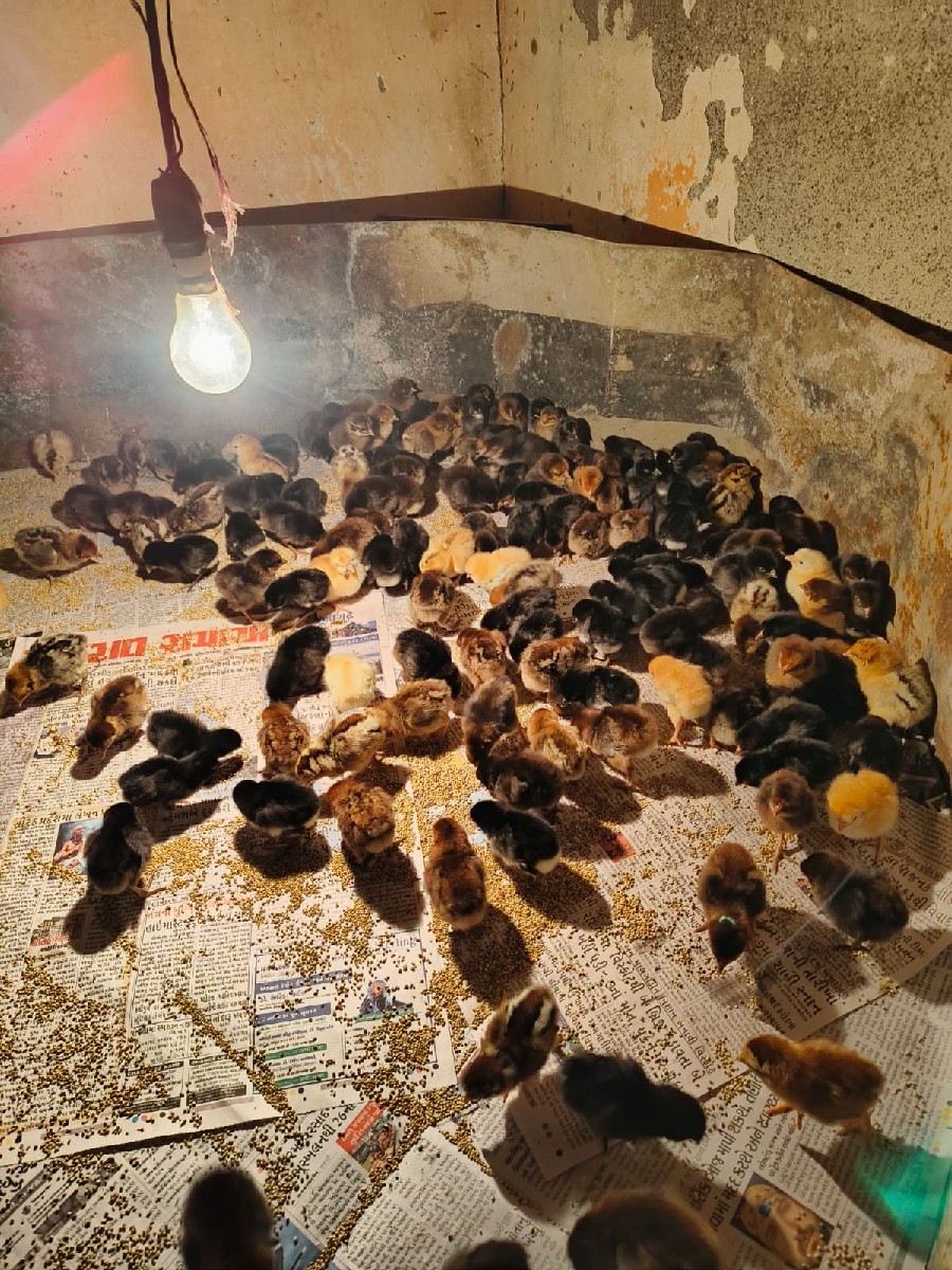 Post Image 2