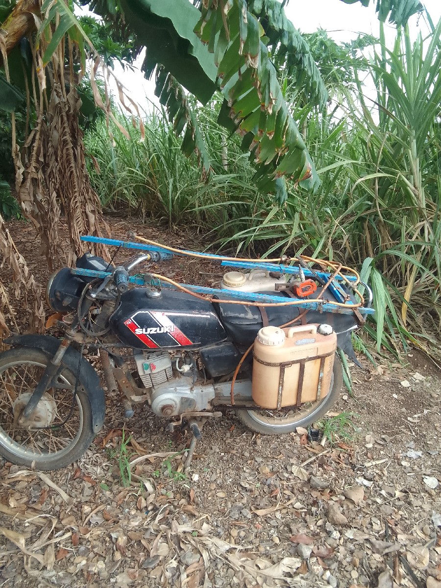 Post Image 2