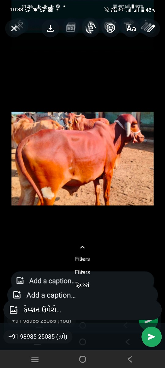Post Image 1