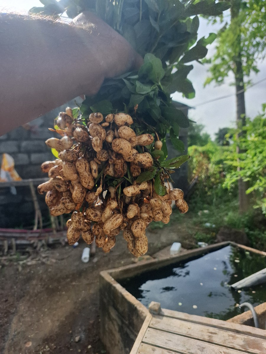 Post Image 3