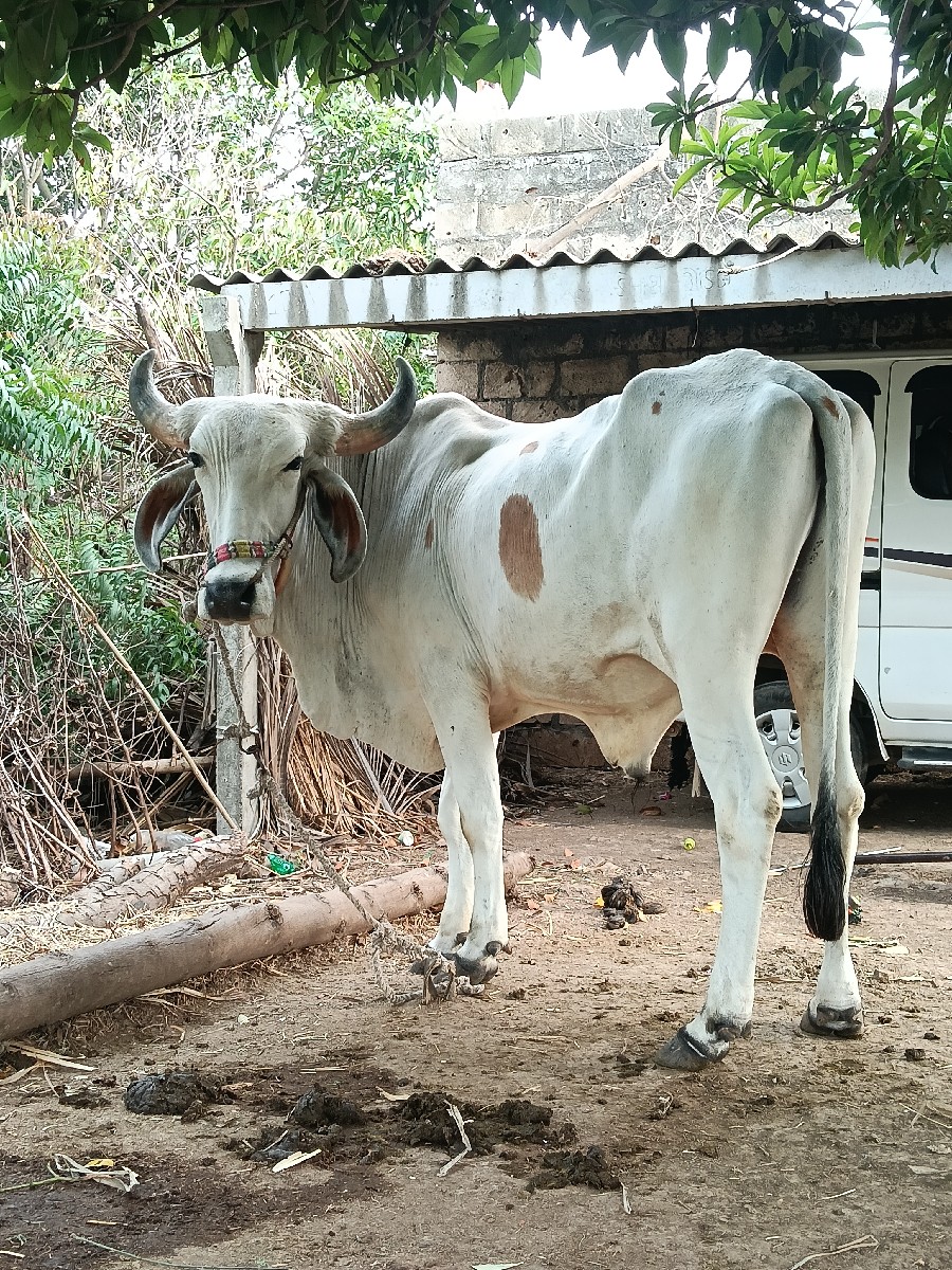 Post Image 2