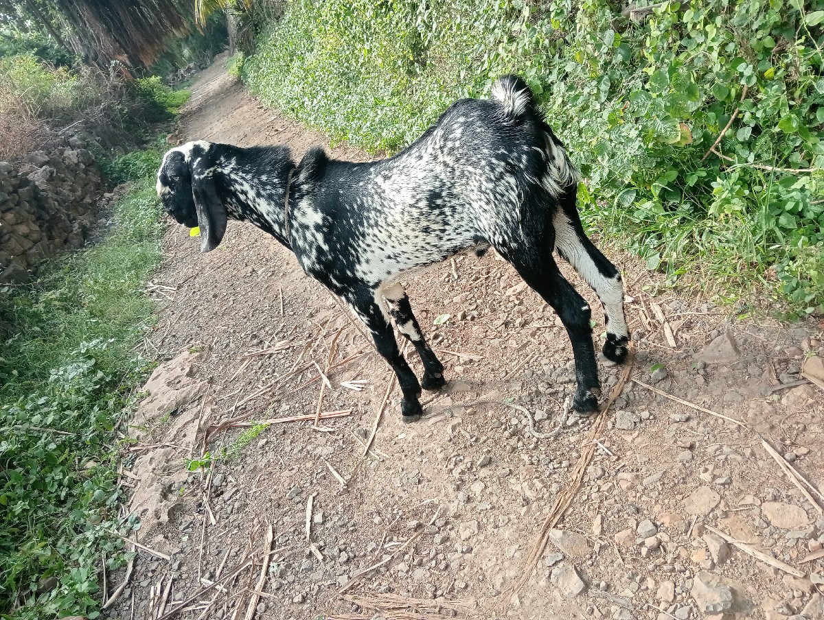 Post Image 2