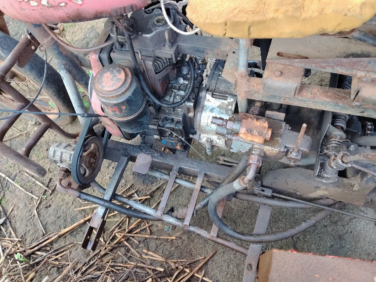Post Image 3
