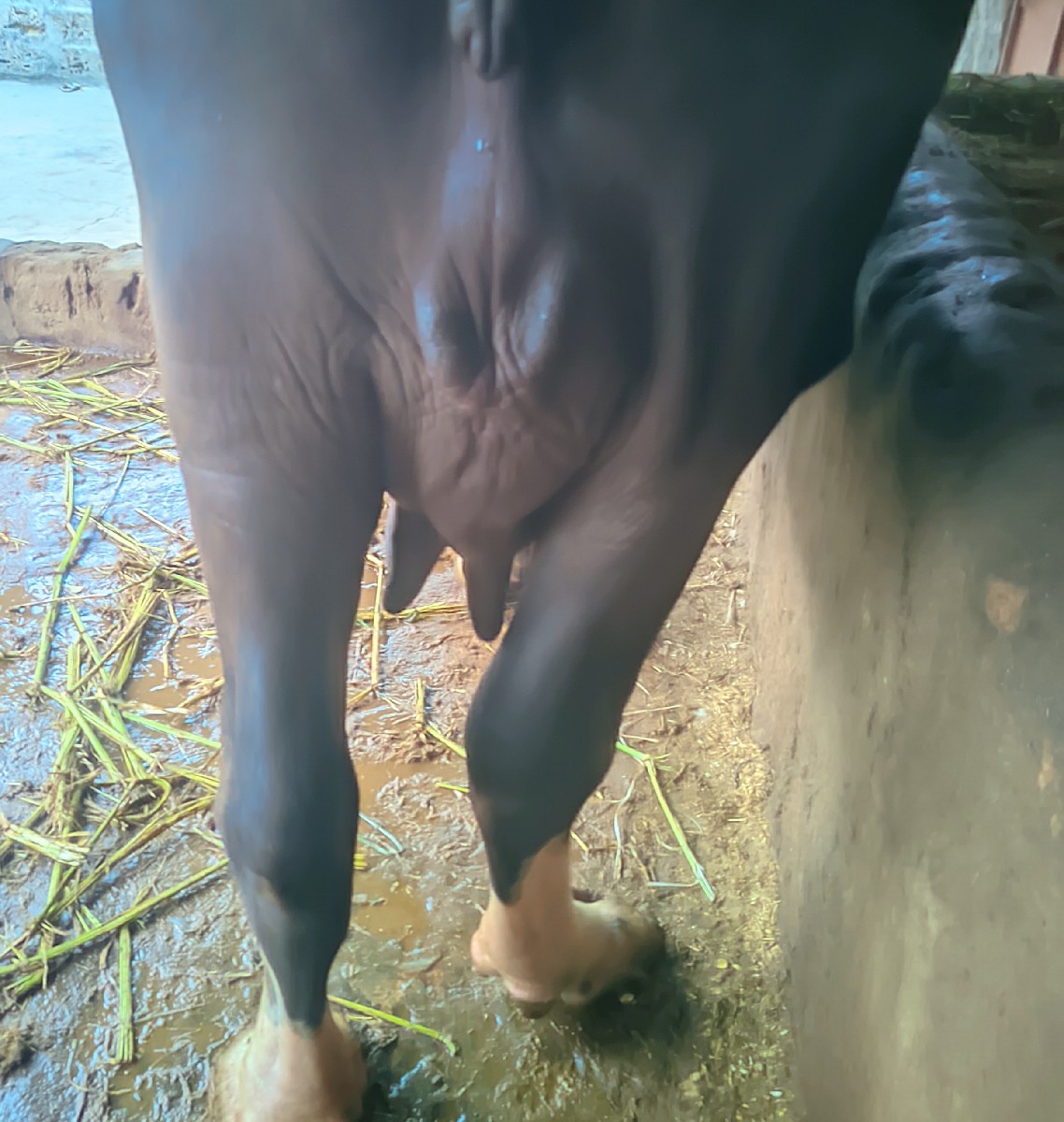 Post Image 6
