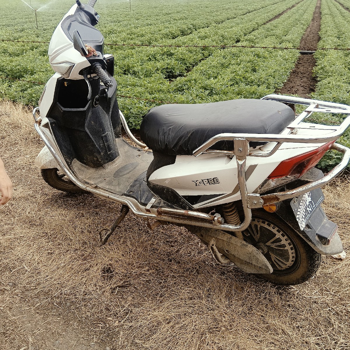 Post Image 2
