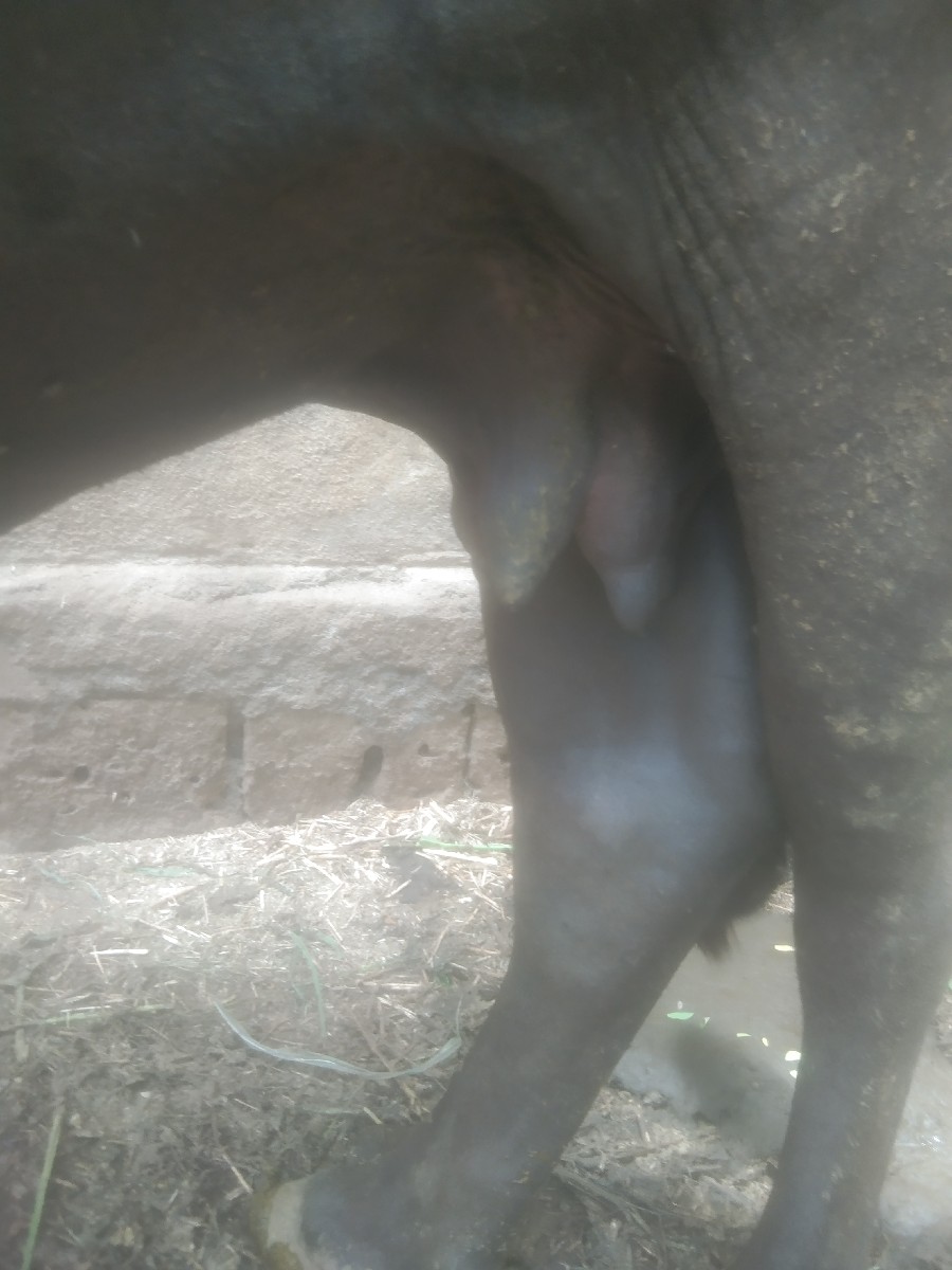 Post Image 3