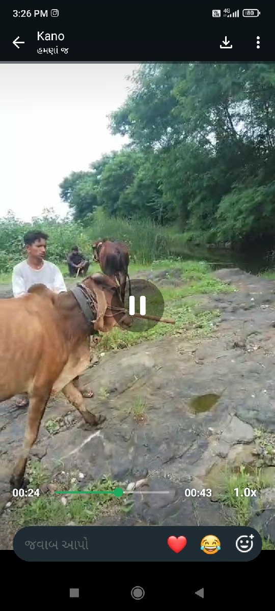 Post Image 3