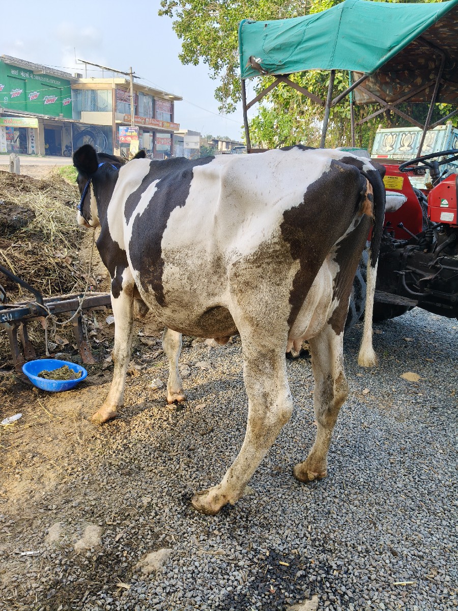 Post Image 6
