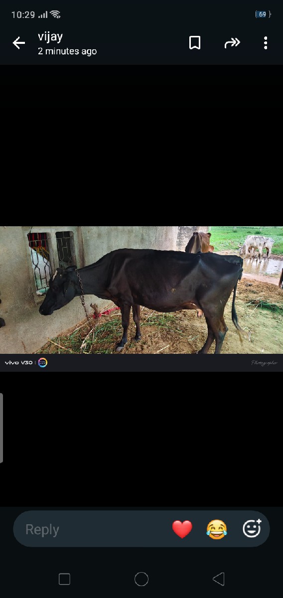 Post Image 2