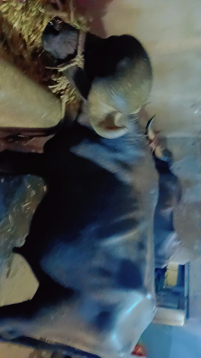 Post Image 2