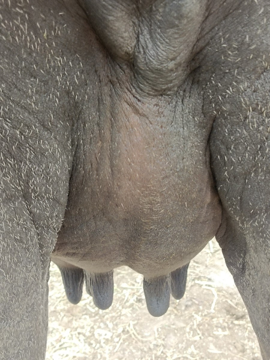 Post Image 2