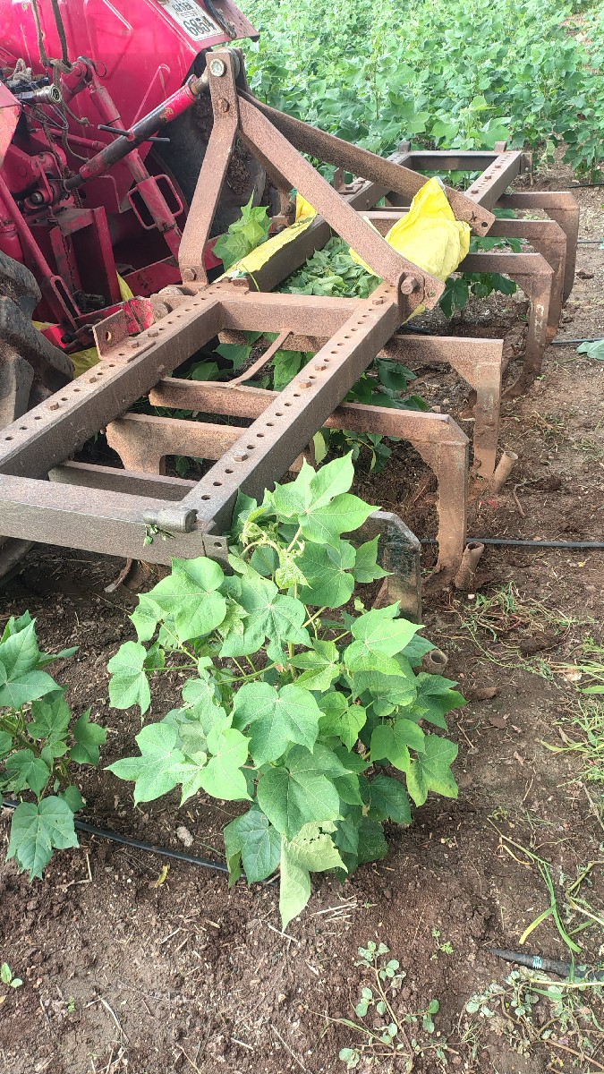 Post Image 2