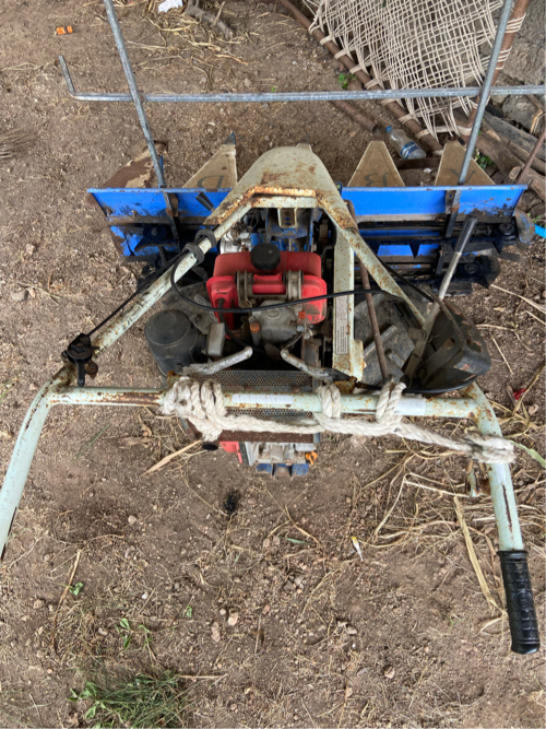 Post Image 3