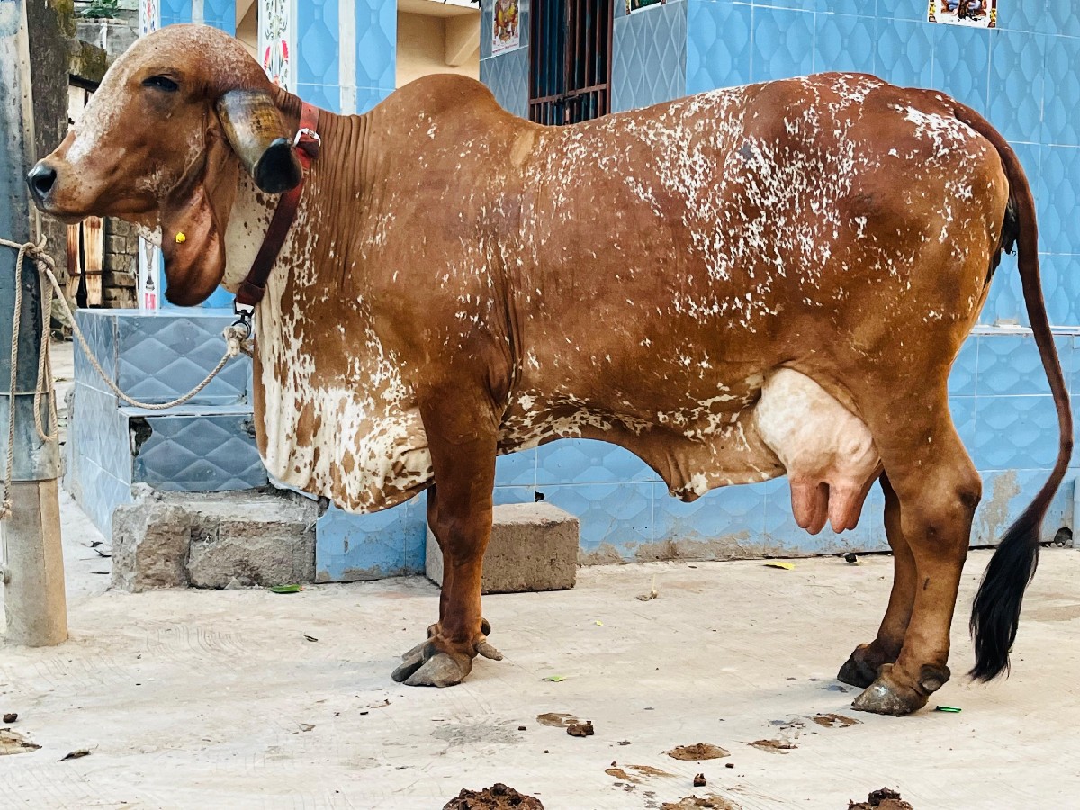 Post Image 4