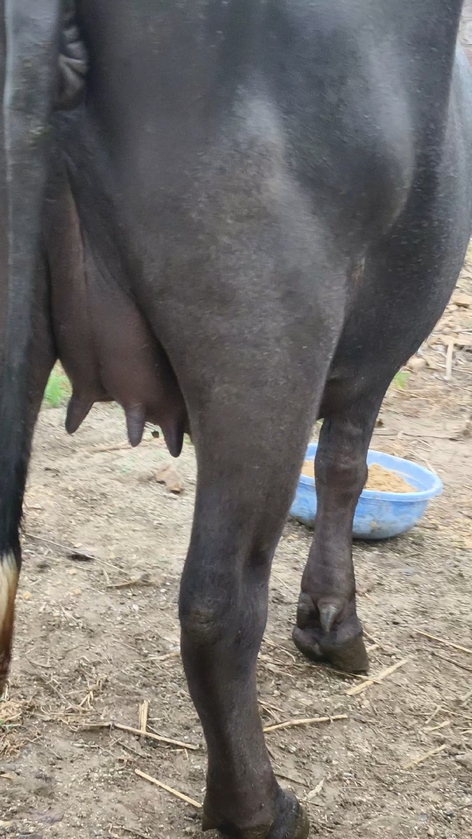 Post Image 3